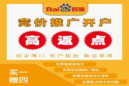 案例展示：SEM账户托管服务成果